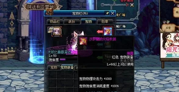 dnf红色宠物装备哪个好　dnf红色宠物装备哪个好看