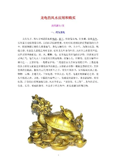 手游龙龟排行榜最新版-手游龙龟排行榜解析