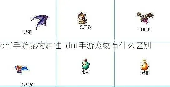 手游dnf啥宠物好用