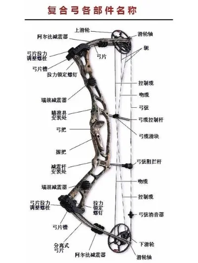 森林复合弓在哪里获得-森林复合弓获取途径